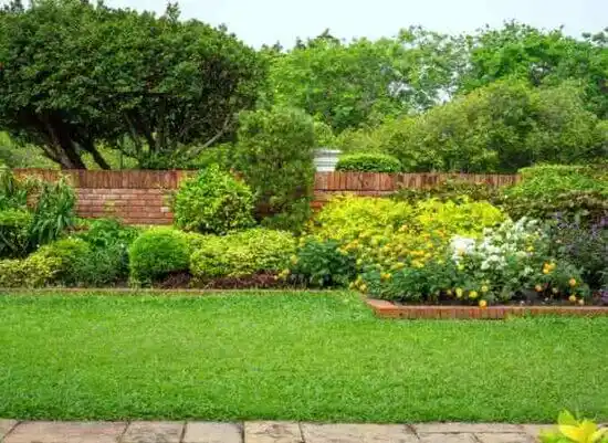 landscaping services Ladue